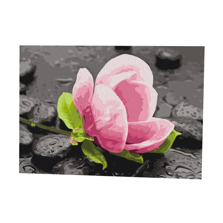 Pictura pe numere - Pink Flower and Stones - 60x40cm
