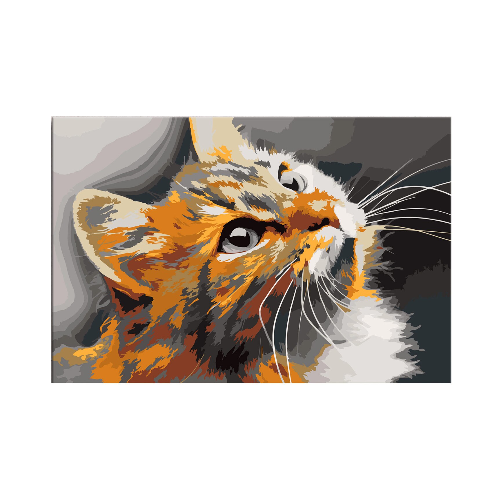 Pictura pe numere - Red Cat - 60x40cm