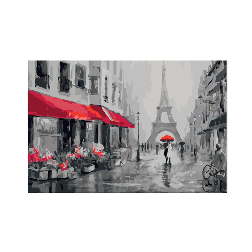 Pictura pe numere - Rainy Paris - 60x40cm