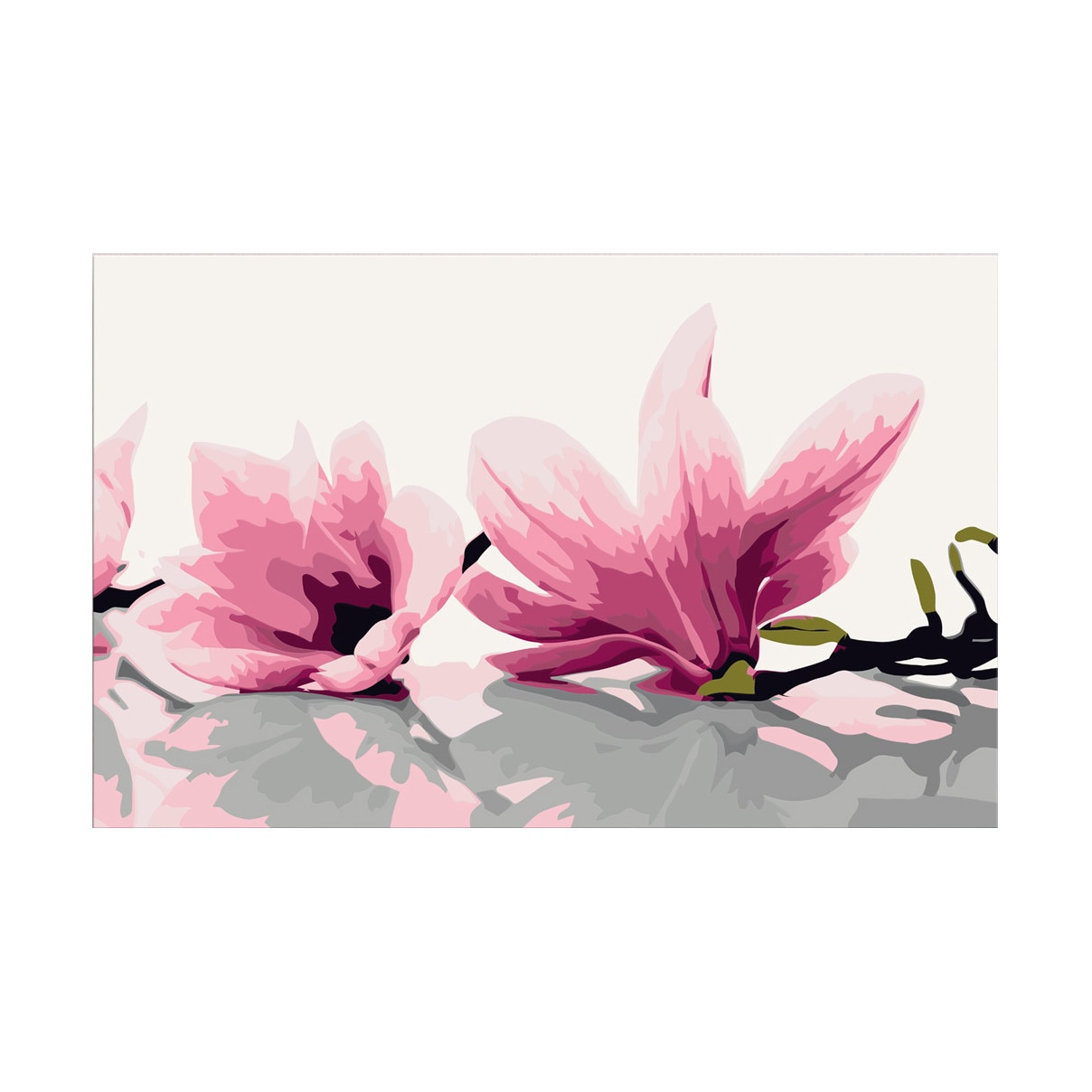 Pictura pe numere - Magnolia (White Background) - 60x40cm
