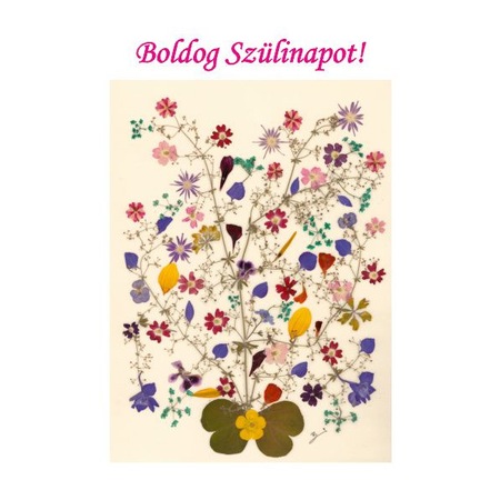Set 10 Felicitari Oshi Cu Flori La Multi Ani In Limba Maghiara 52a Emag Ro