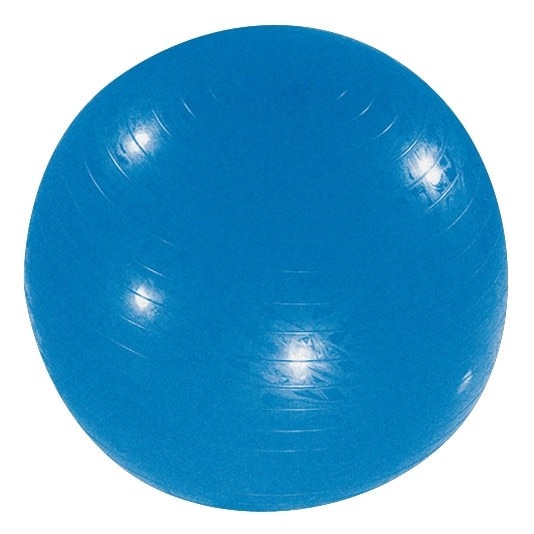 Minge gimnastica, X-Fact, albastru, 65cm