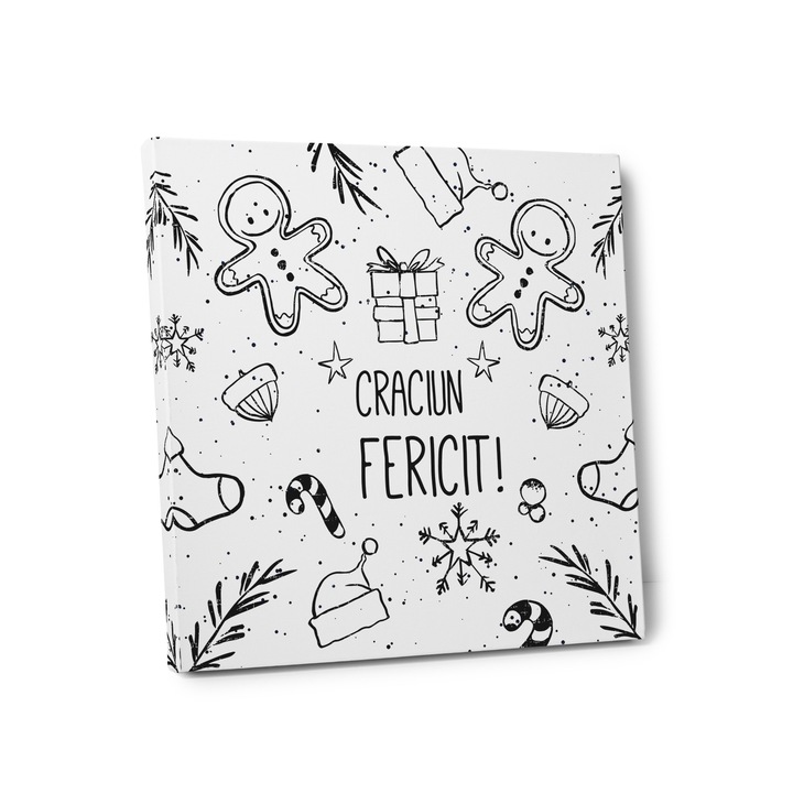 Tablou de colorat CRACIUN FERICIT, TABLOURI COLORATE, CP30X30