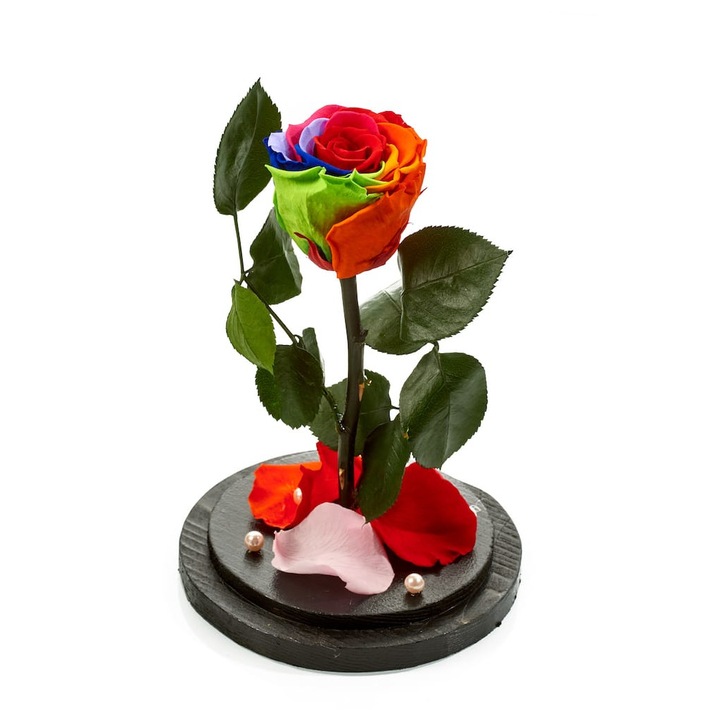 Trandafir Criogenat/Nemuritor BeDiferent Standard 22x12 cm, multicolor