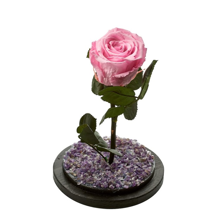 Trandafir Criogenat/Nemuritor BeDiferent Standard 22x12 cm ,roz pal