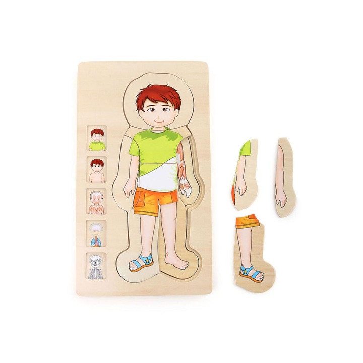 Fiú testrészei formaillesztő puzzle, 29 darabos