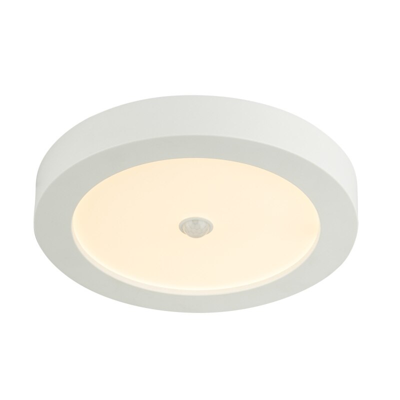 Plafoniera Paula Globo, 41605-18S, Alb, LED 18W, Lumina Calda, 1600lm
