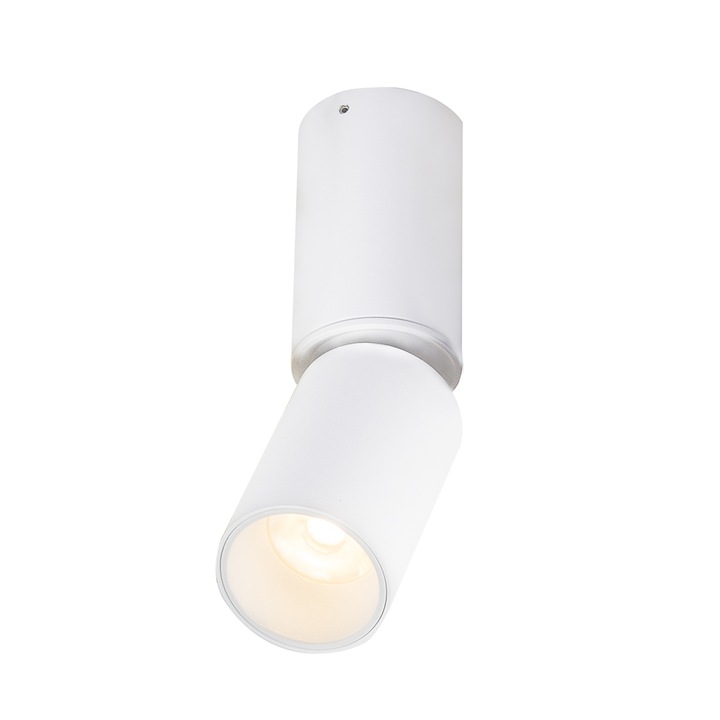 Plafoniera LUWIN AP-44999-1, 1 x LED, 8W, 502lm, 3000K, 230V