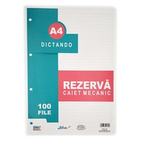 Rezerva caiet mecanic A4 100 file Dictando Libra