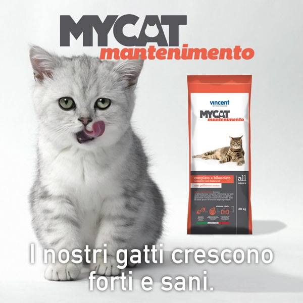 Храна за котки VINCENT Pet Food Evolution, MYCAT ADULT, Комбинирано