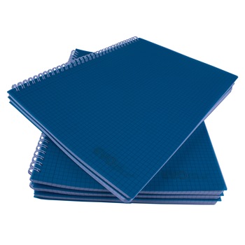 Caiet A4 cu spira metalica, microperforatii si coperti plastic, 100 file - matematica EVOffice Caiet A4 cu spira metalica, microperforatii si coperti plastic, 100 file - matematica EVOffice