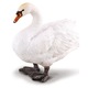 Фигурка Лебед Collecta, 8 x 4 x 7 см