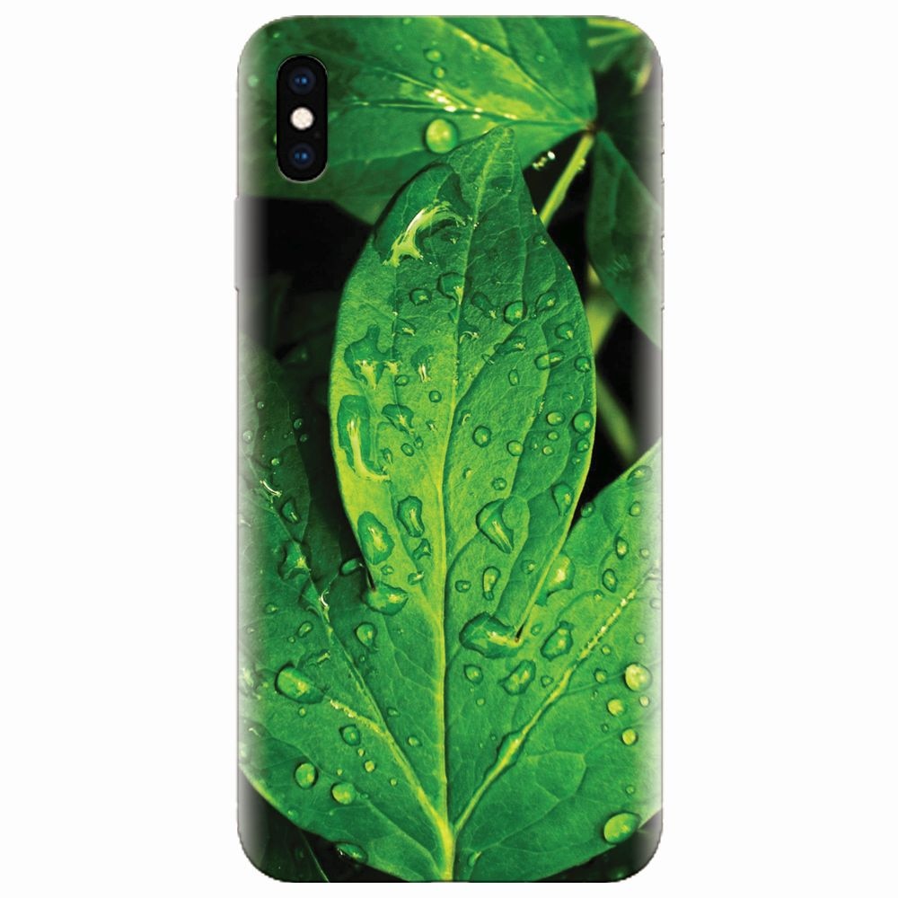Husa silicon pentru Apple Iphone XS, Leaves And Dew