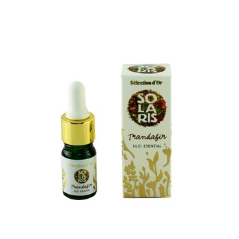 Ulei Esential Trandafir Selection d'Or Premium, Solaris, 5 ml Ulei Esential Trandafir Selection d'Or Premium, Solaris, 5 ml