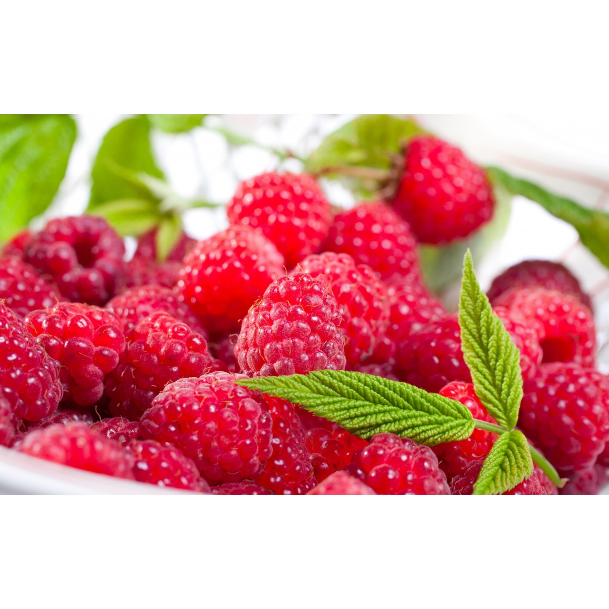 Tablou canvas, produs DekoStore, pentru bucatarie, inramat pe cadru de lemn, print HD, Fragute proaspete, 30x40 cm