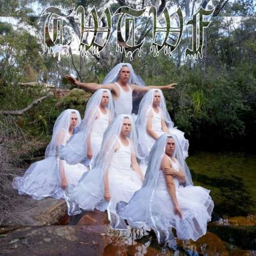 Liars - Titles With the Word.. (LP)