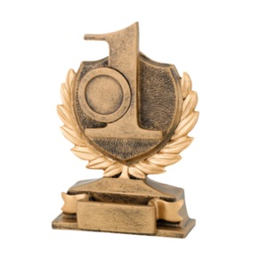 Cupe, trofee si medalii