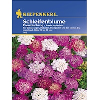 Seminte de Lilicele Mix, plic de 75 seminte