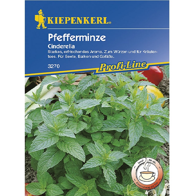 Semnte de Menta Cinderella, plic de 100 seminte