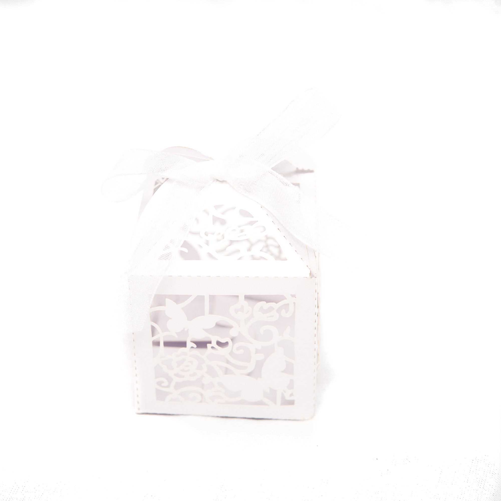 Marturie nunta/botez cutiuta laser cut cu fluturas alb