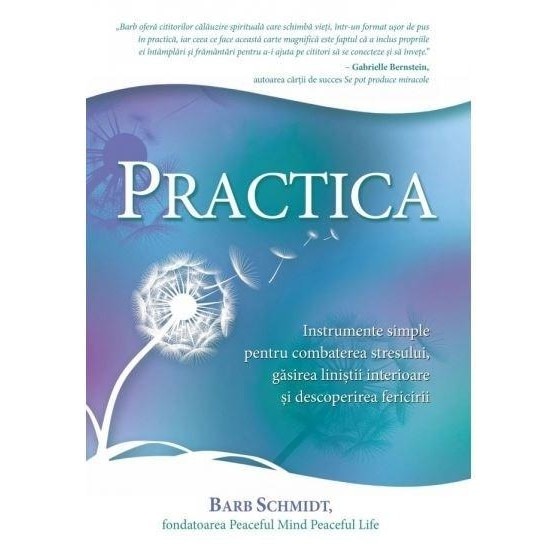 Practica - Barb Schmidt