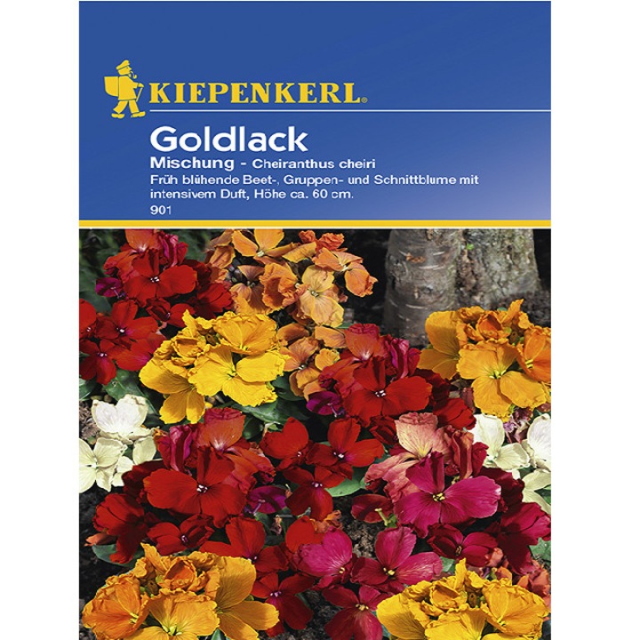 Seminte de Micsunele, plic de 50 seminte