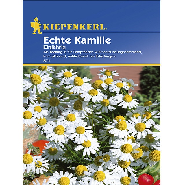 Seminte de Musetel, plic de 200 seminte