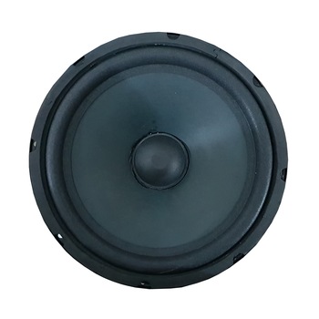 Difuzor 80 W , 25 cm-10 inch , Negru Difuzor 80 W , 25 cm-10 inch , Negru