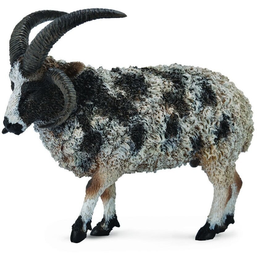 Figurina Jacob Sheep L, Collecta Multicolor
