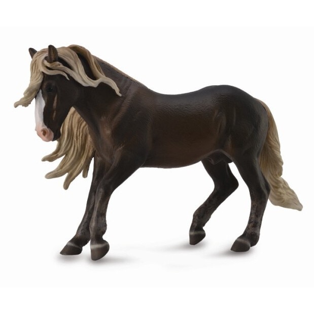 Armasar Black Forest, 18 x 11 cm