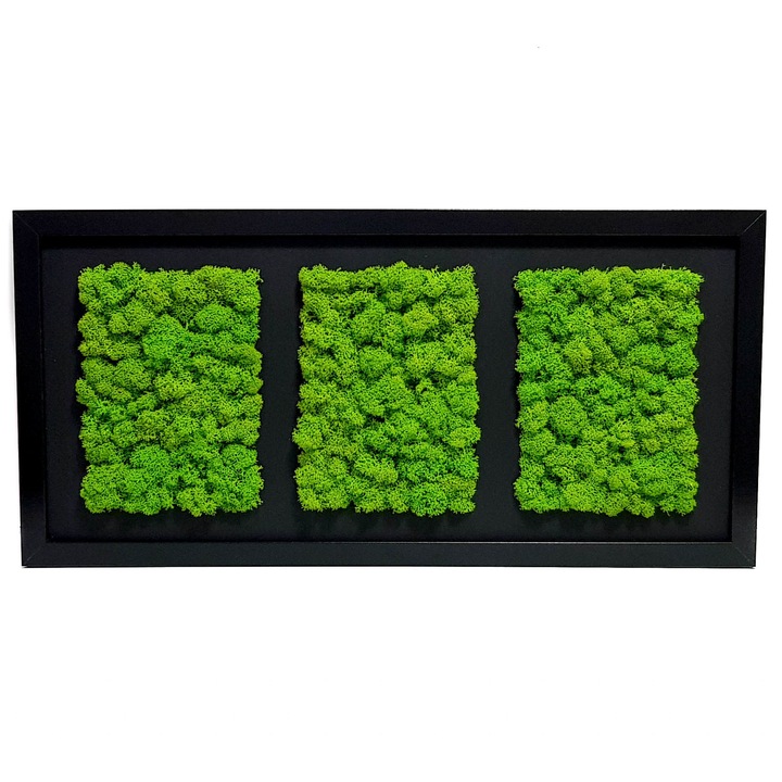 Tablou cu licheni Elli's Blooming Garden, green, Verde, Negru 50x23 cm