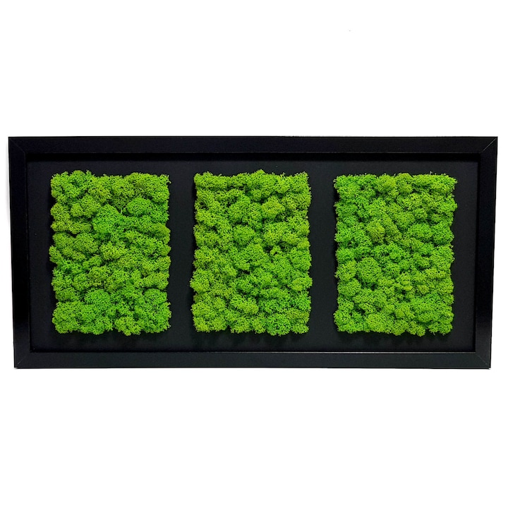 Tablou cu licheni Elli's Blooming Garden, green, Verde, Negru 50x23 cm