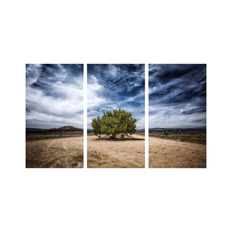 Set tablouri Multicanvas 3 piese 150x90 cm, peisaj 151