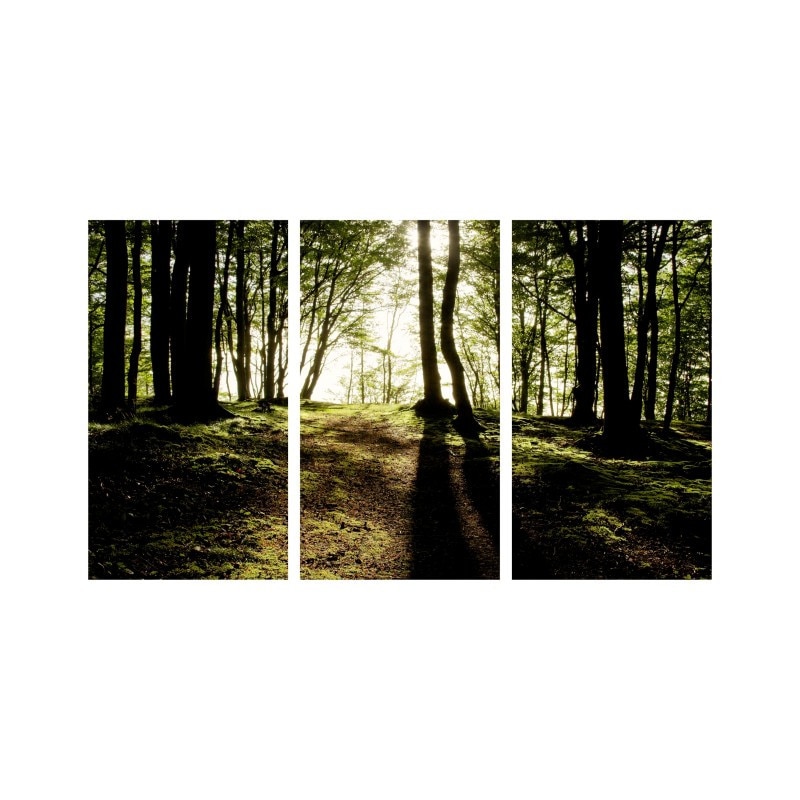 Set tablouri Multicanvas 3 piese 150x90 cm, peisaj 89