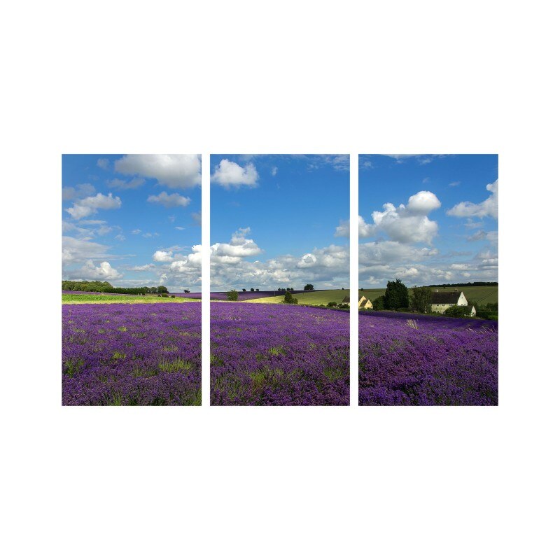 Set tablouri Multicanvas 3 piese 150x90 cm, peisaj 143