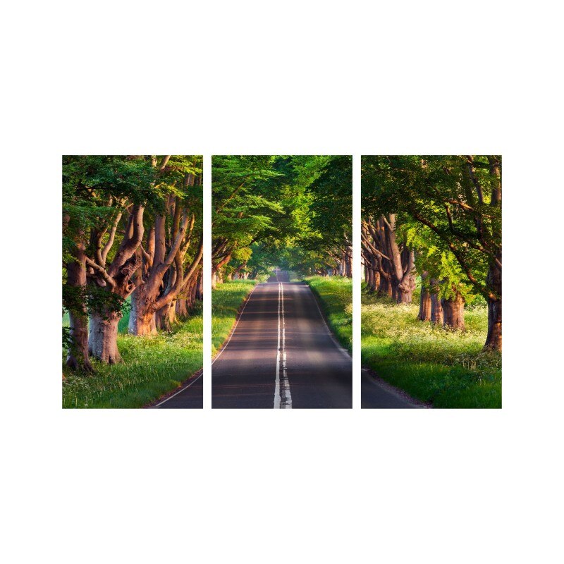 Set tablouri Multicanvas 3 piese 150x90 cm, peisaj 108
