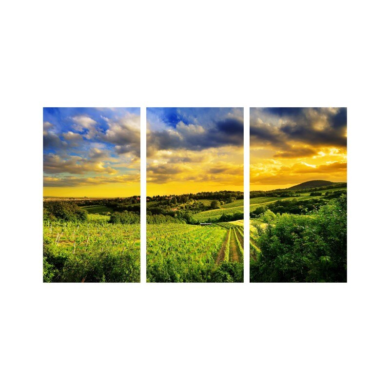 Set tablouri Multicanvas 3 piese 150x90 cm, peisaj 78