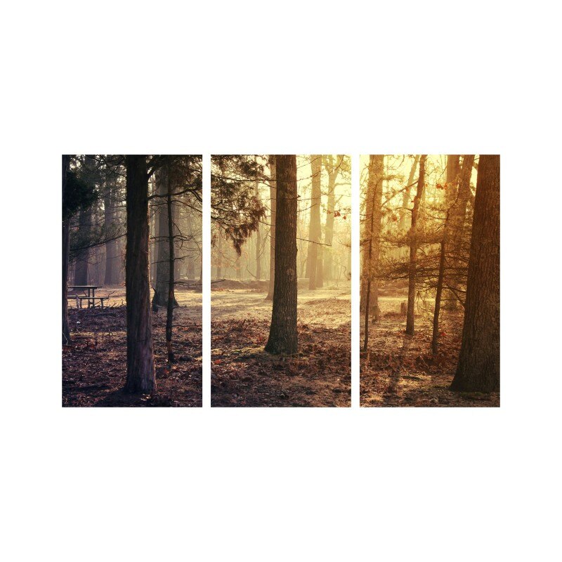 Set tablouri Multicanvas 3 piese 150x90 cm, peisaj 139