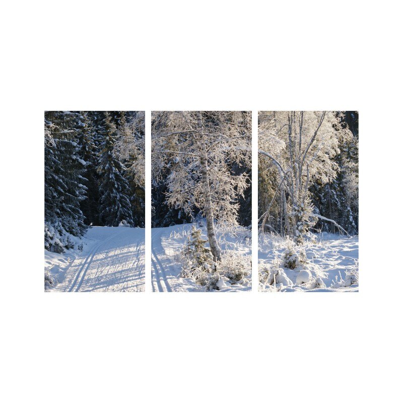 Set tablouri Multicanvas 3 piese 150x90 cm, peisaj 142