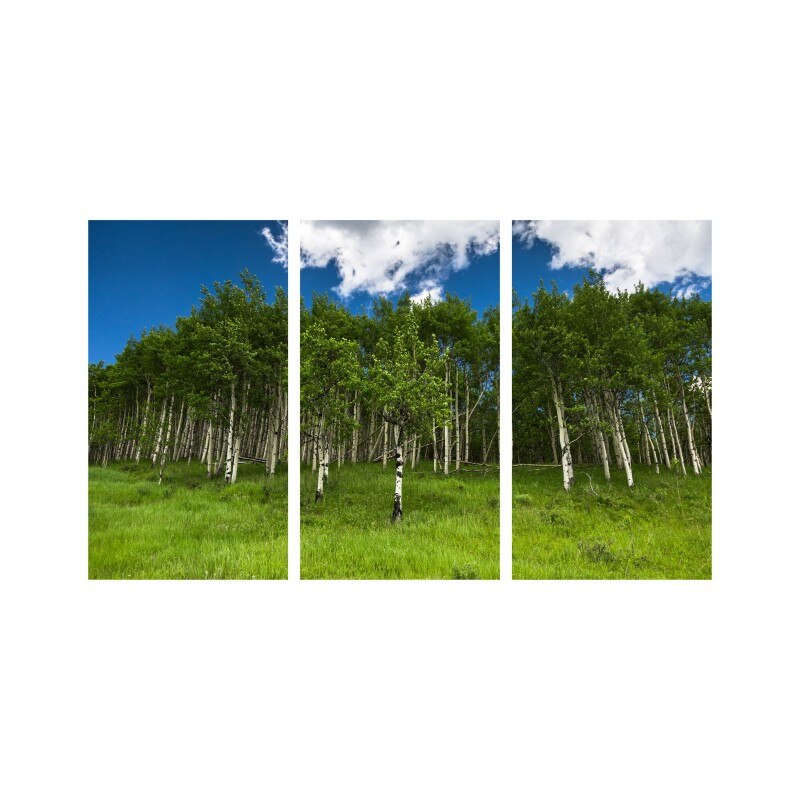 Set tablouri Multicanvas 3 piese 150x90 cm, peisaj 137