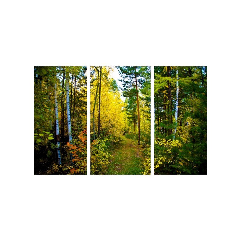 Set tablouri Multicanvas 3 piese 150x90 cm, peisaj 1