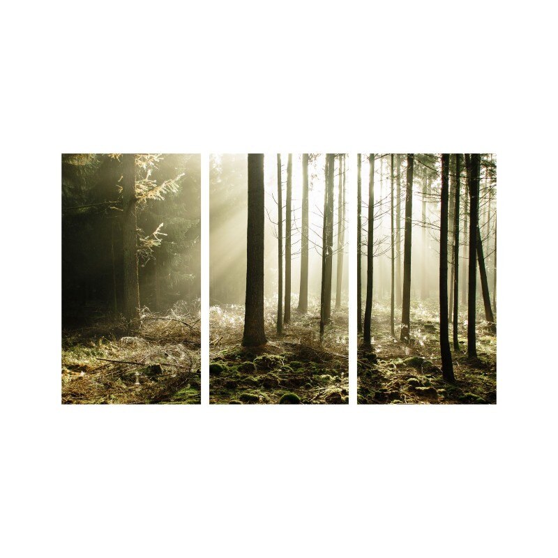 Set tablouri Multicanvas 3 piese 150x90 cm, peisaj 91