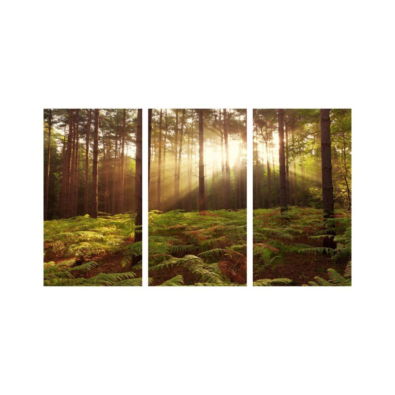 Set tablouri Multicanvas 3 piese 150x90 cm, peisaj 74