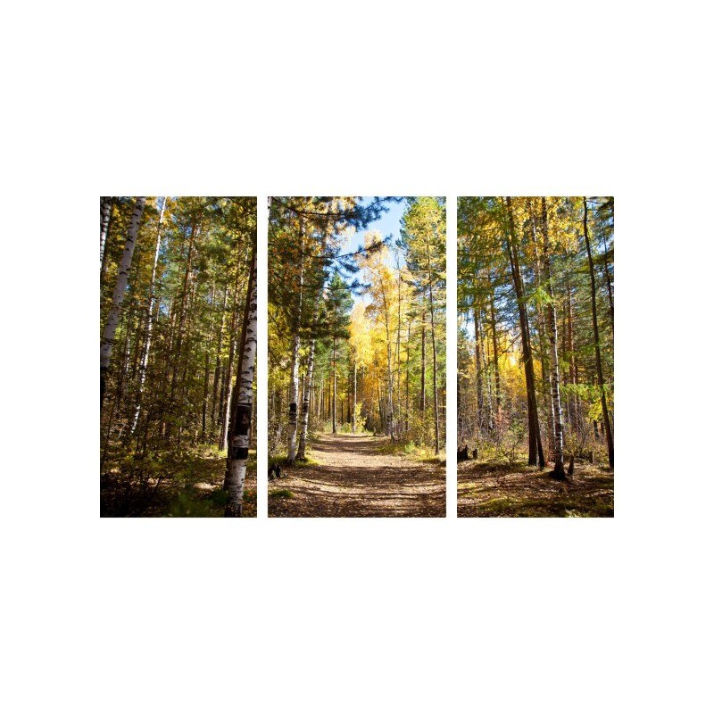 Set tablouri Multicanvas 3 piese 150x90 cm, peisaj 2