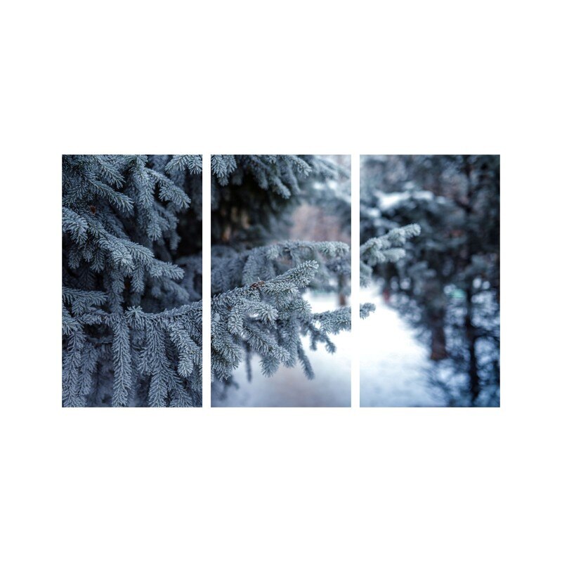 Set tablouri Multicanvas 3 piese 150x90 cm, peisaj 5