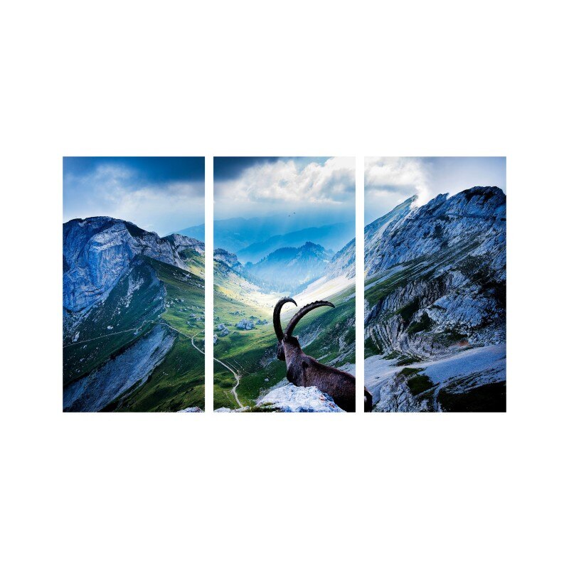 Set tablouri Multicanvas 3 piese 150x90 cm, peisaj 88