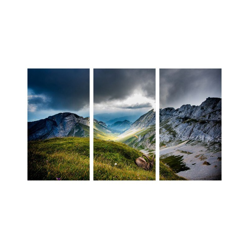 Set tablouri Multicanvas 3 piese 150x90 cm, peisaj 83