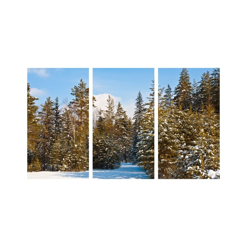 Set tablouri Multicanvas 3 piese 150x90 cm, peisaj 122
