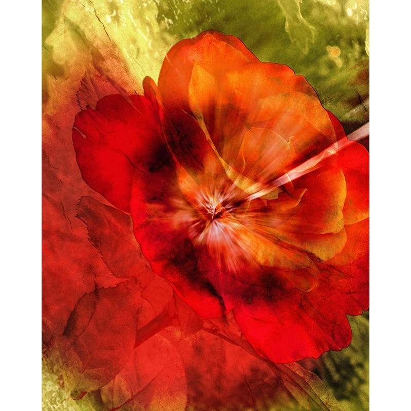 Tablou canvas, produs DekoStore, pentru dormitor/living/birou, inramat pe cadru de lemn, print HD, Floare retro-vintage, 30x40 cm
