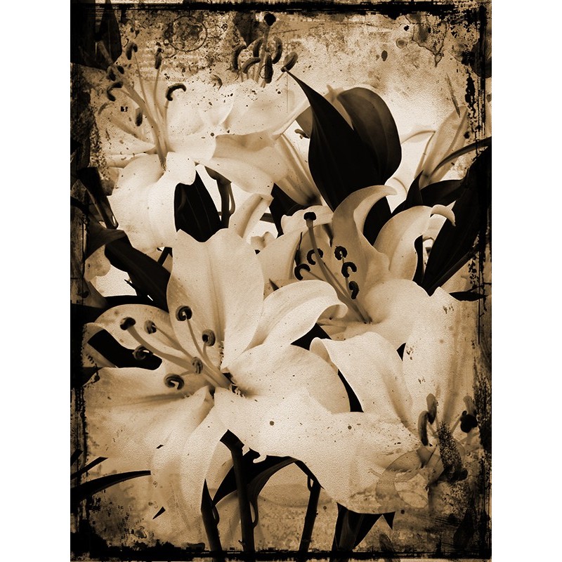 Tablou canvas, produs DekoStore, pentru dormitor/living/birou, inramat pe cadru de lemn, print HD, Albul pur, 30x40 cm